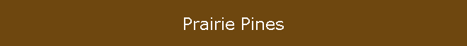 Prairie Pines