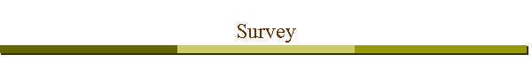 Survey