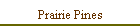 Prairie Pines